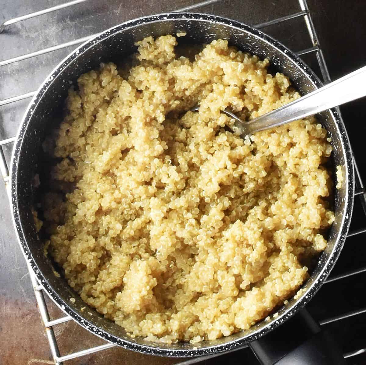 Top down view of cooked quinoa in pot with spoon on cooling rack.