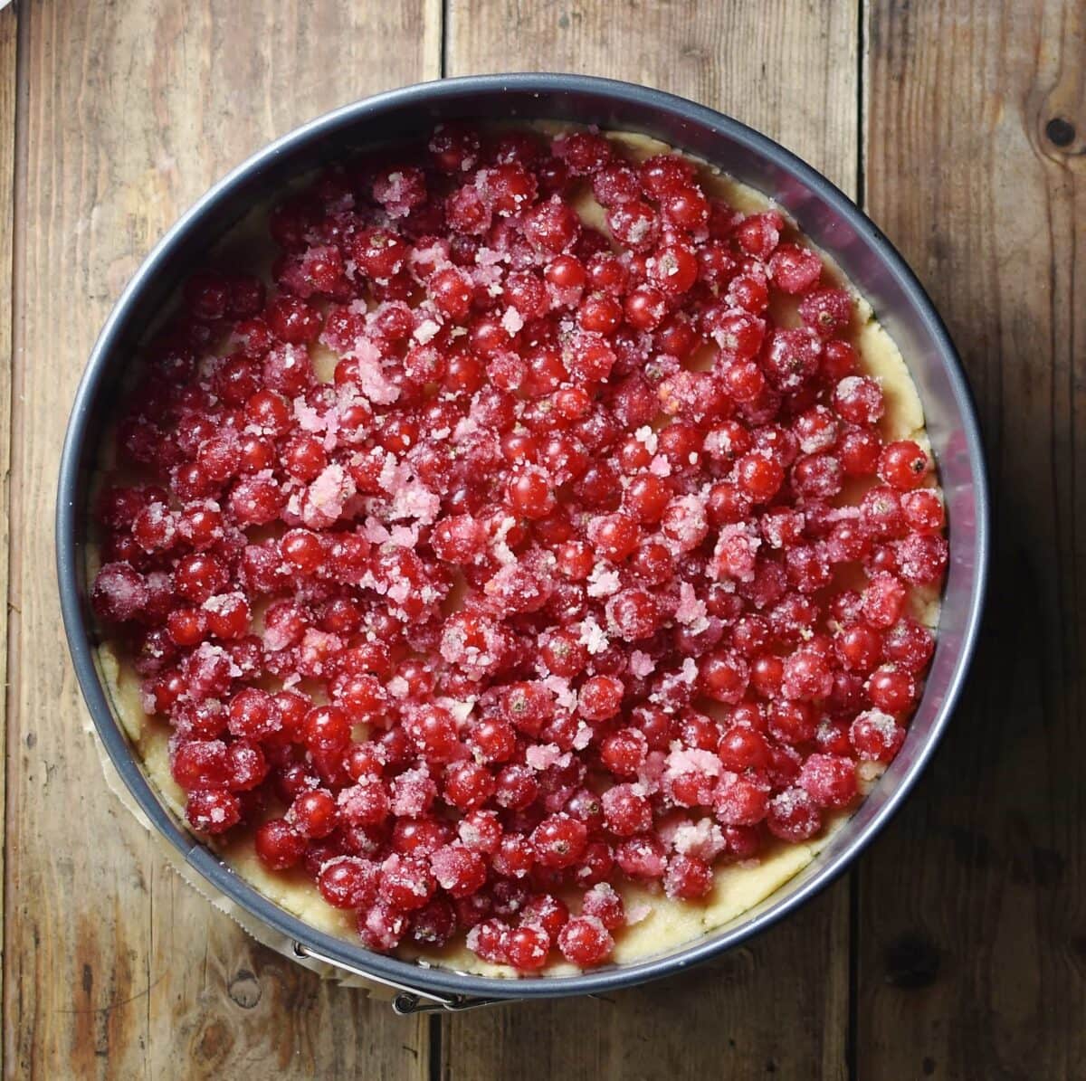 Unbaked cake in tin topped with redcurrants.