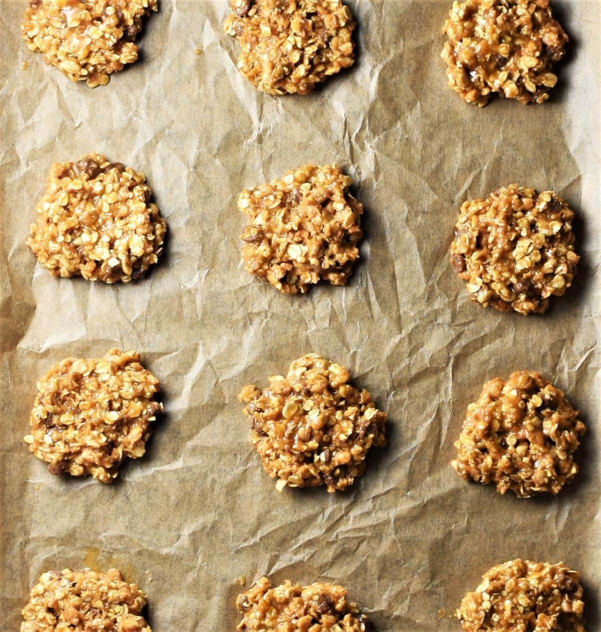 Unbaked oatmeal cookies on top of parchment.