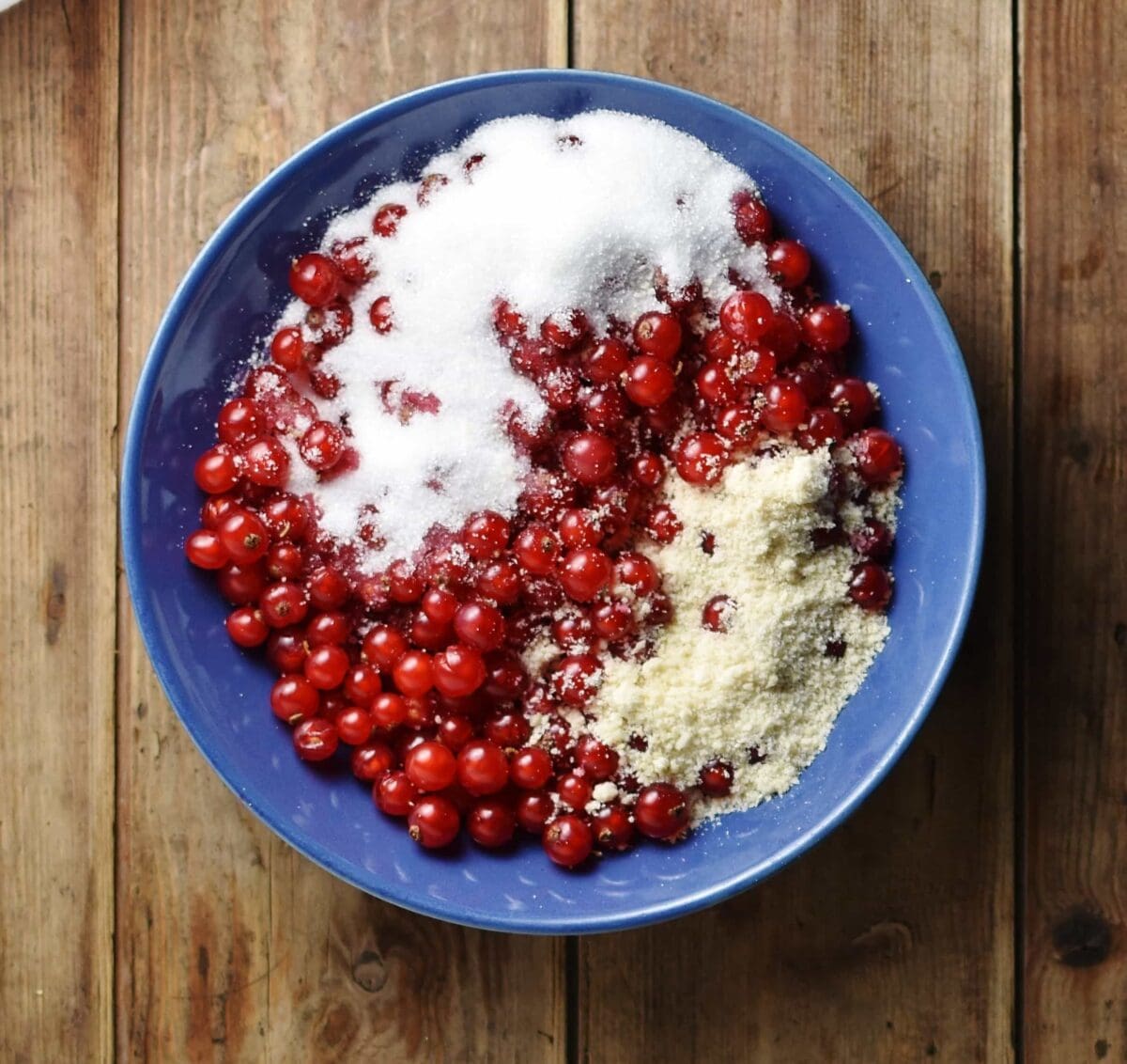 Redcurrants with sugar and ground almonds inside blue bowl.