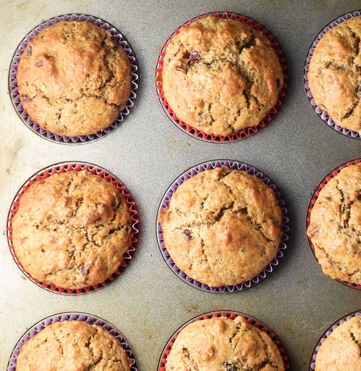 Top down view of baked cranberry pecan muffins in pan.