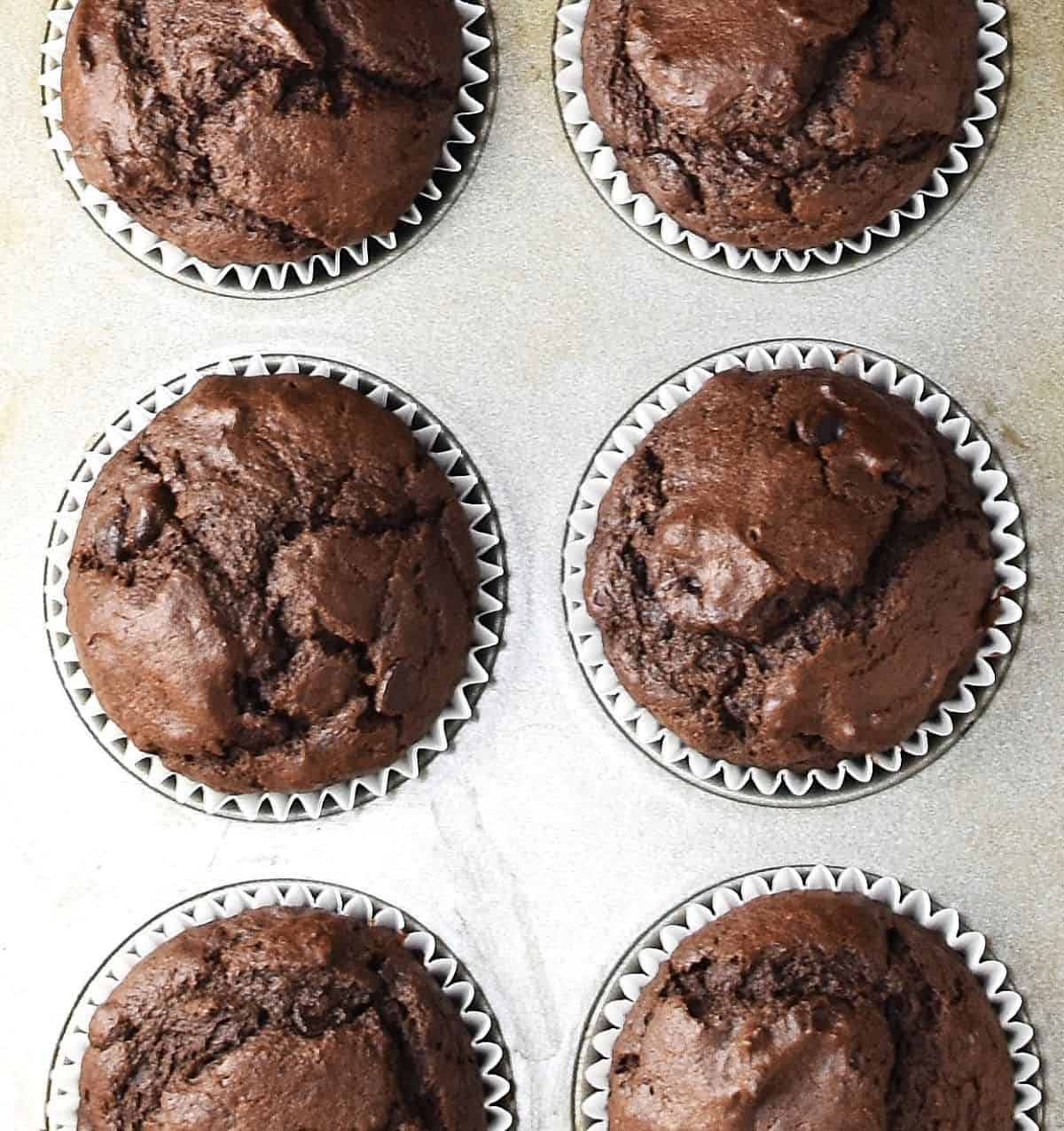 Top down view of 6 baked chocolate muffins with avocado in white paper cases in pan.