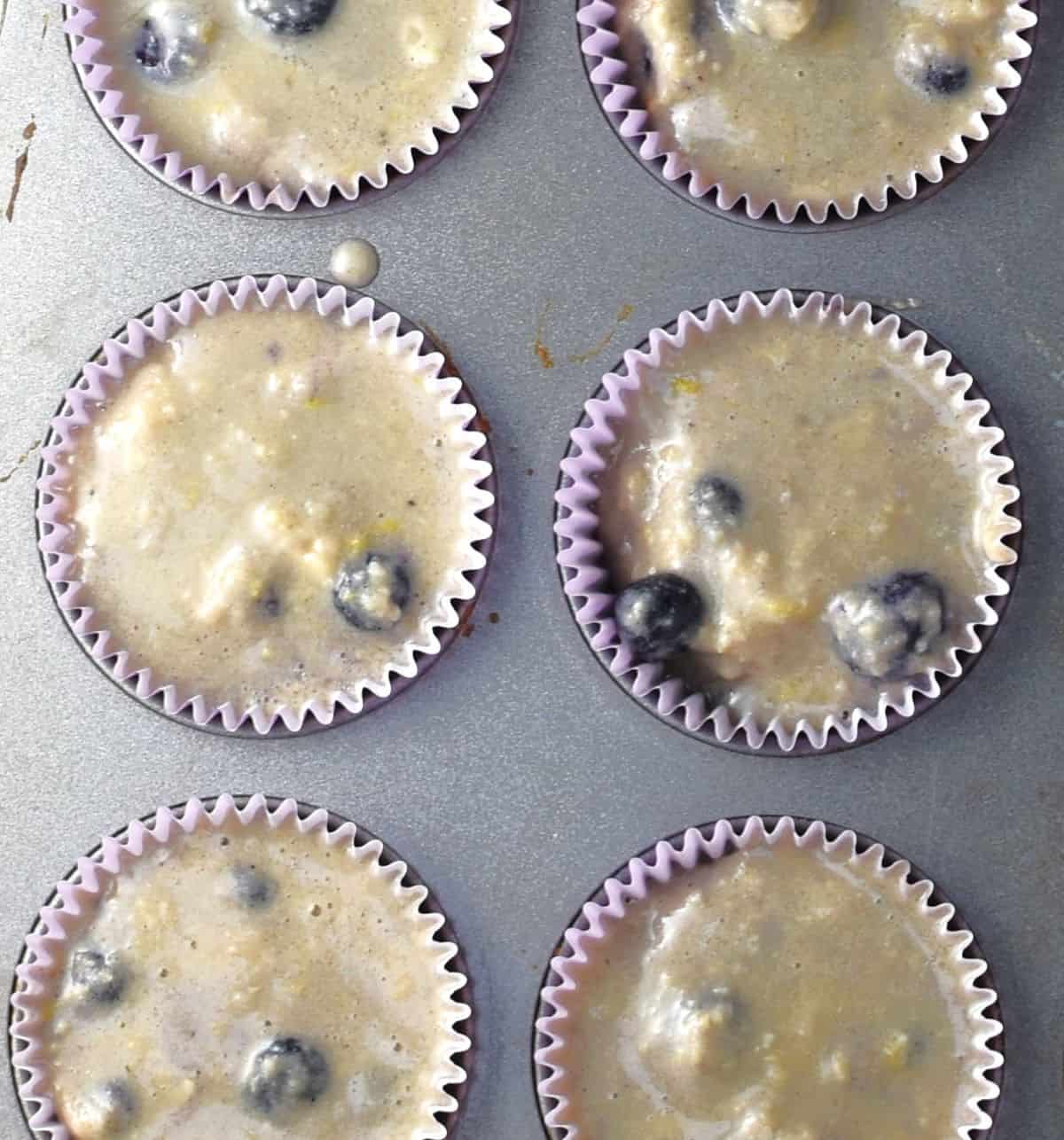 Blueberry buckwheat muffin batter in muffin pan.