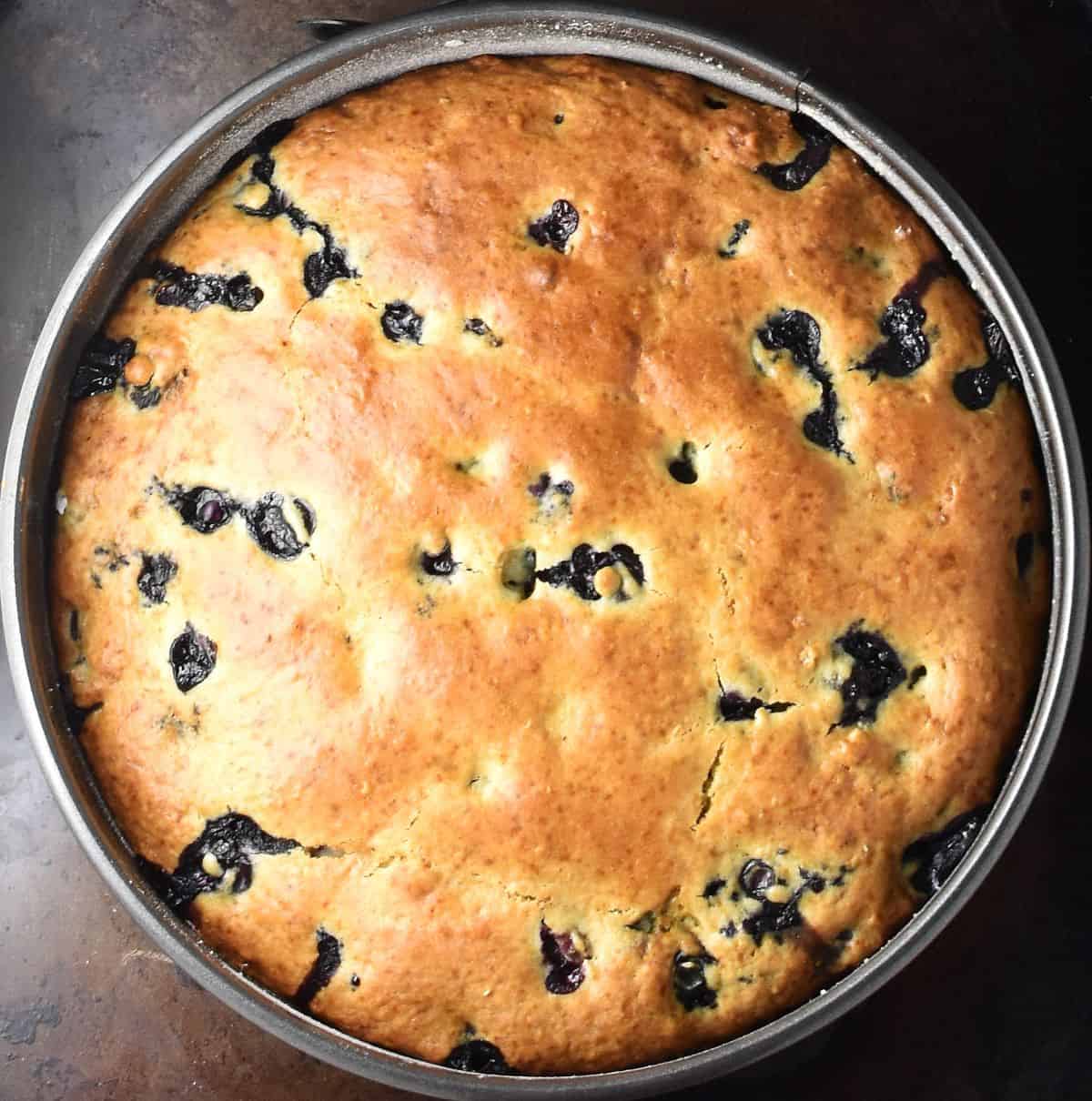 Top down view of baked fresh blueberry muffin cake in round pan.