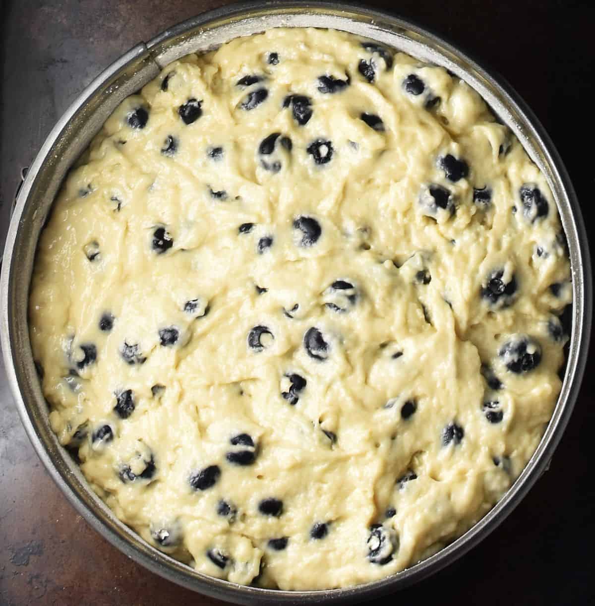 Top down view of blueberry muffin cake batter in round pan.