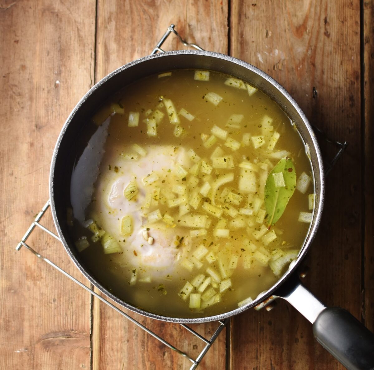 Chicken and chopped onions in soup.