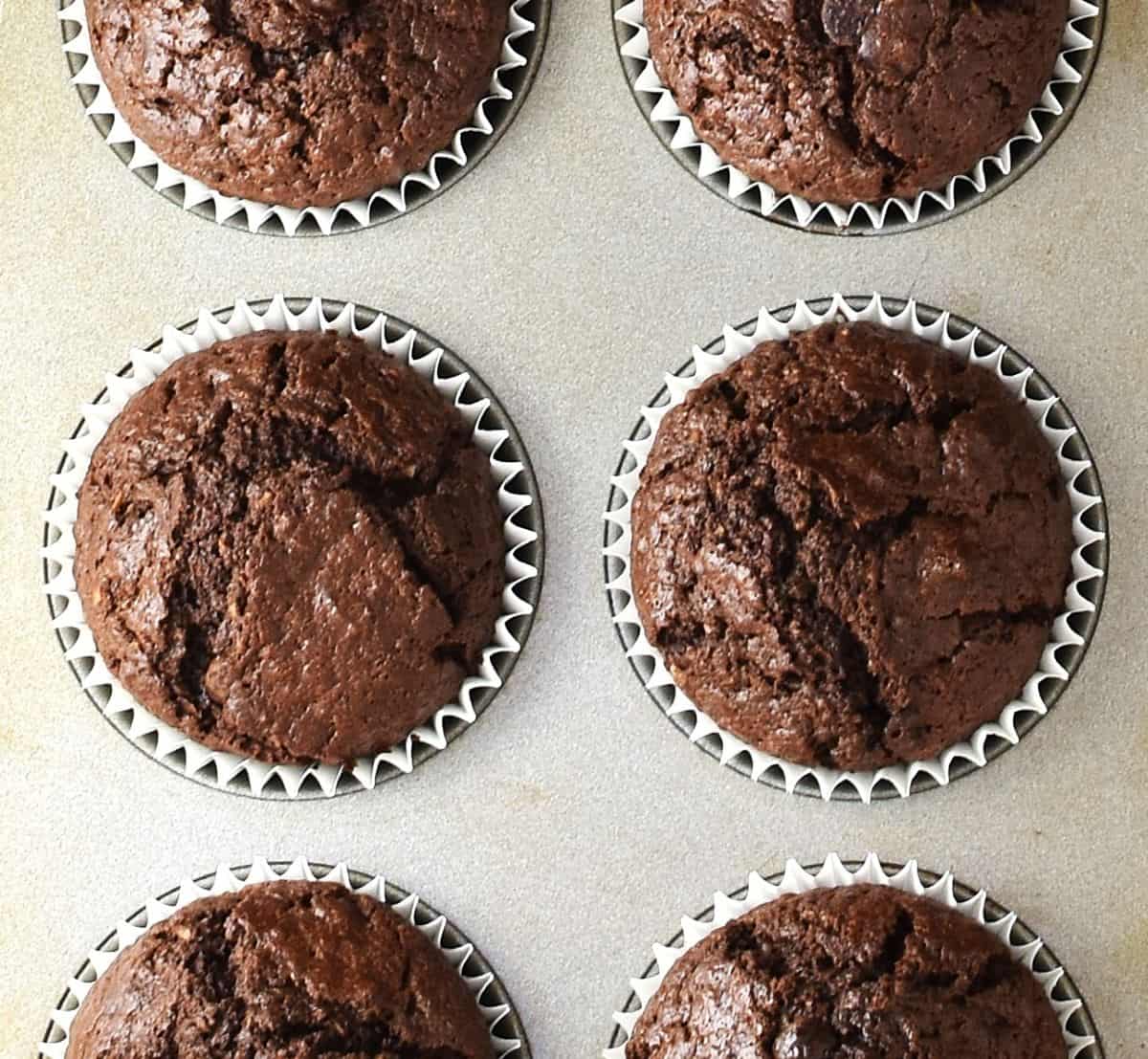 Baked chocolate coconut muffins in white paper cases inside muffin pan.