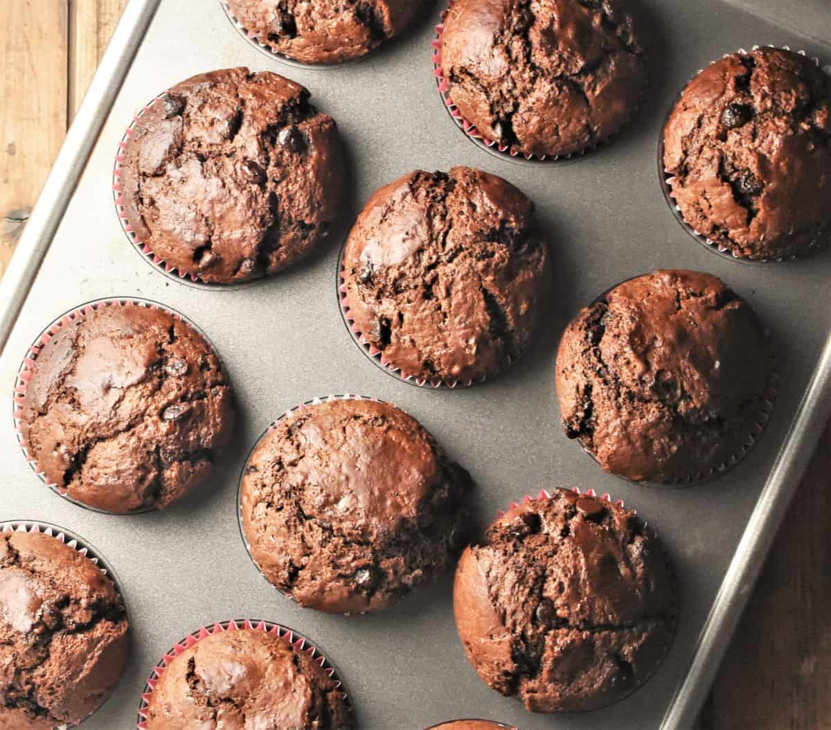 Top down view of chocolate muffins in muffin pan.