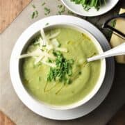 Top down view of creamy fennel soup in white bowl with spoon.