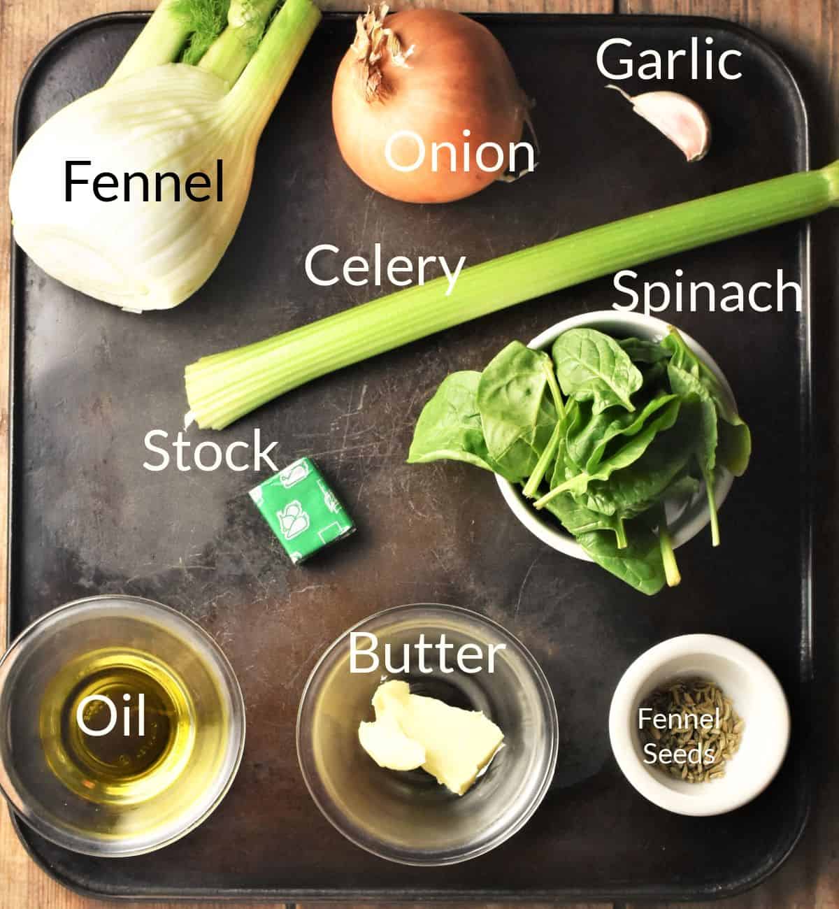 Ingredients for making fennel soup on top of tin tray.