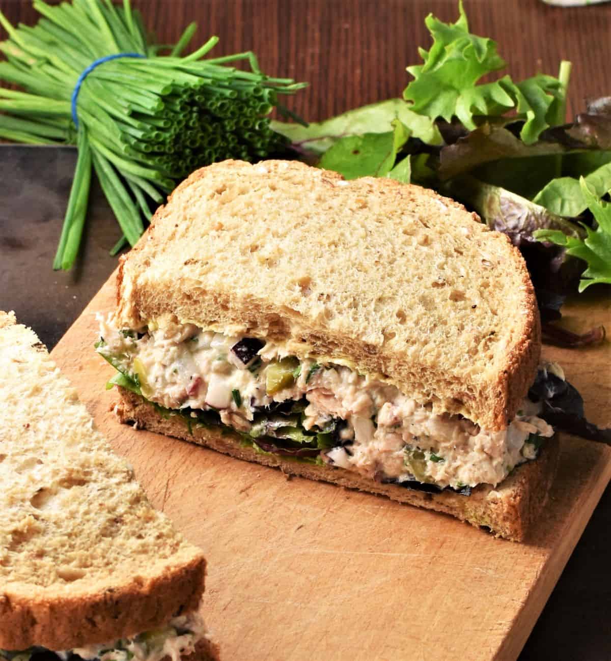Side view of salmon salad sandwich with herbs in background.