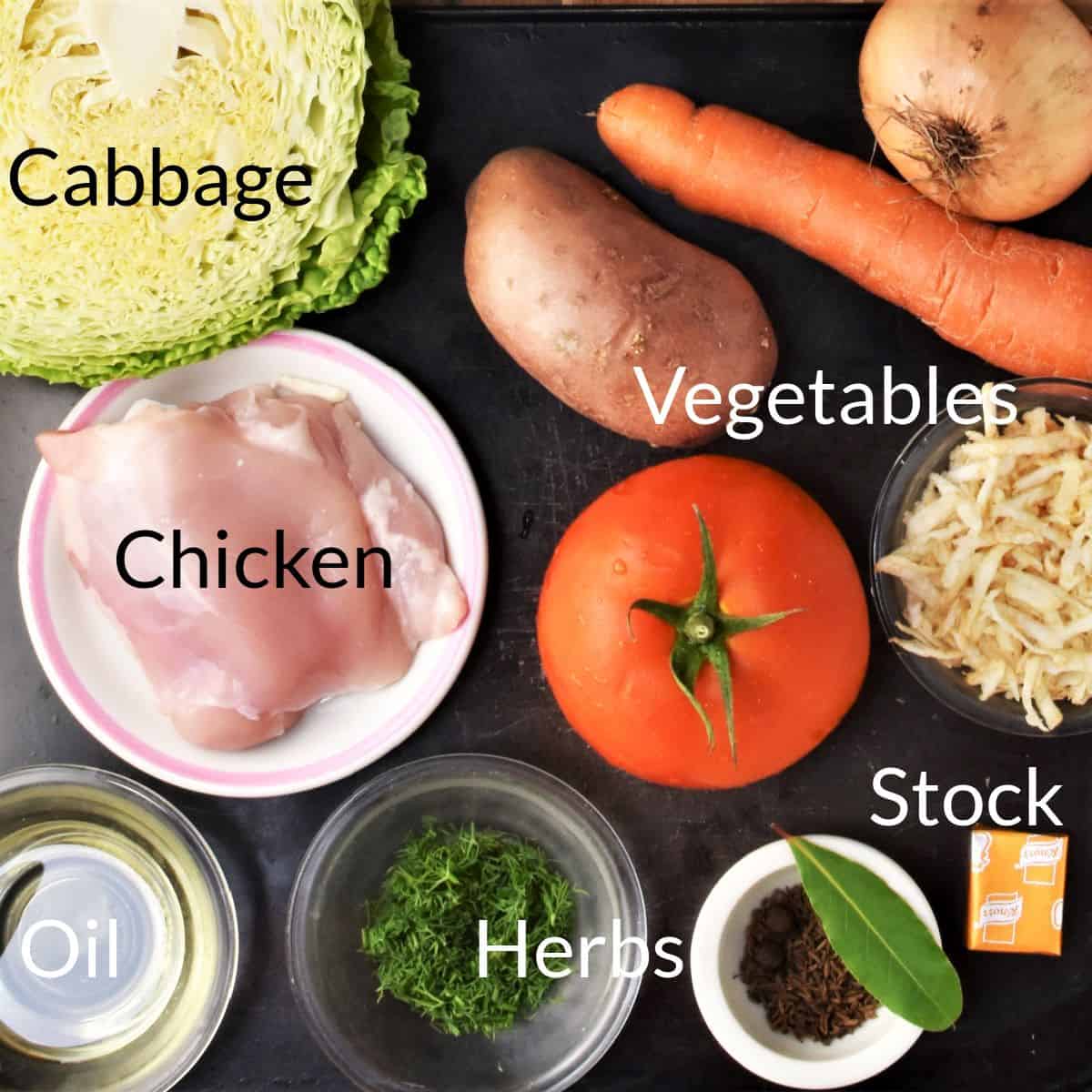 Ingredients for making chicken and cabbage soup in individual dishes.