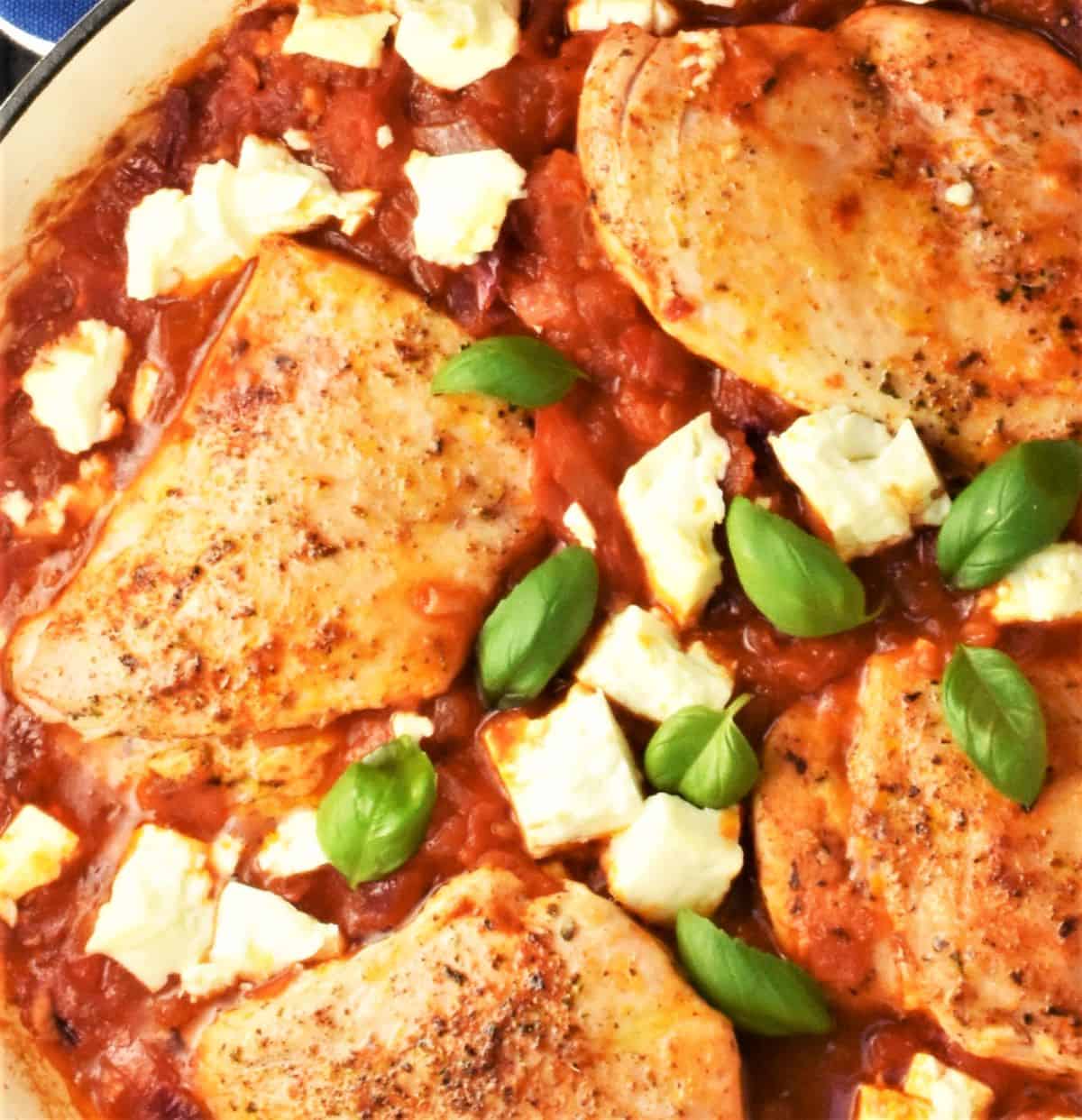 Close-up view of chicken breasts in tomato sauce.