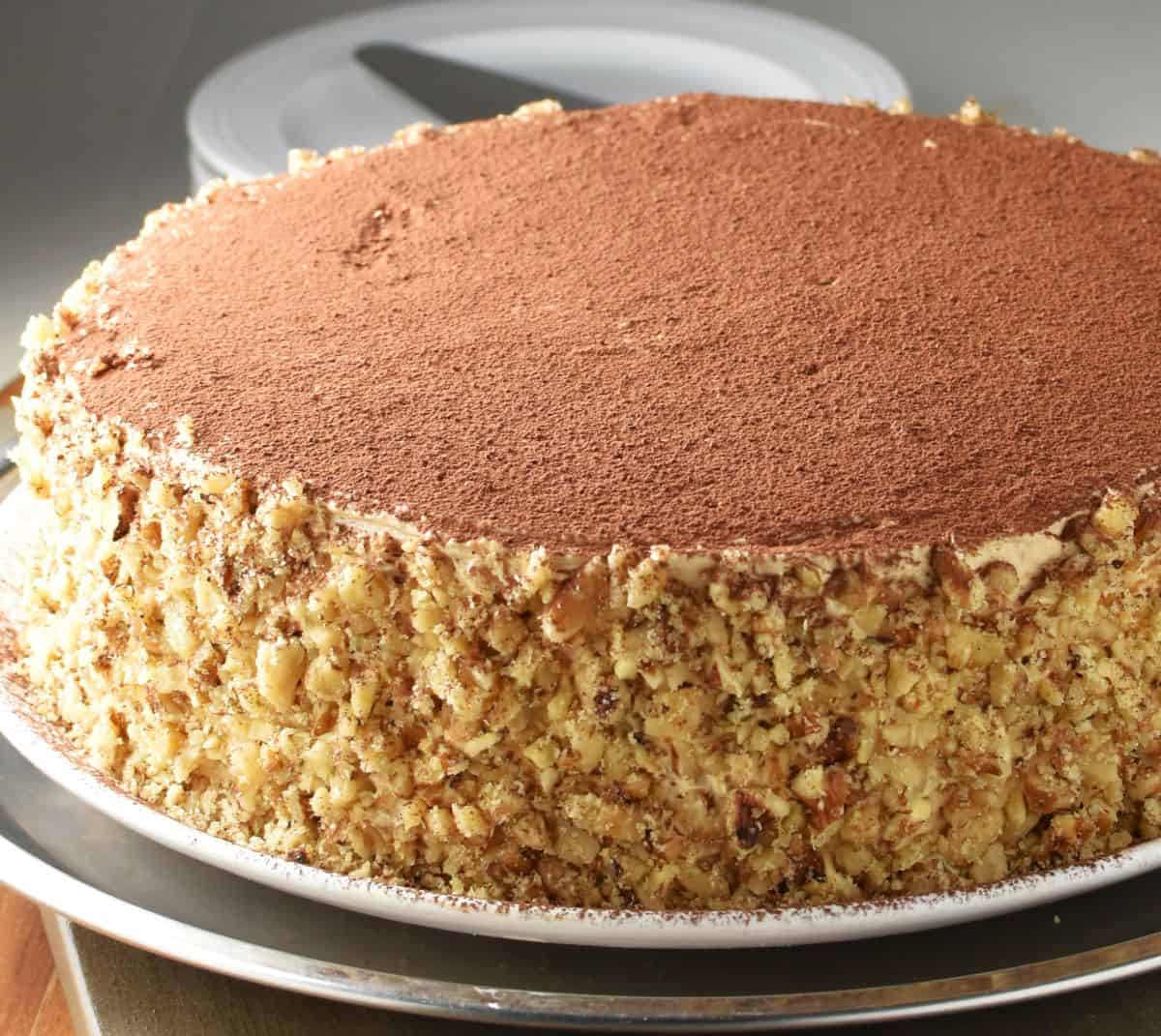 Side view of frosted torte with walnuts on the sides and cocoa on top.