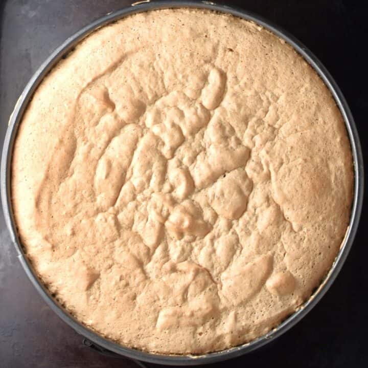 Baked sponge cake in round pan.