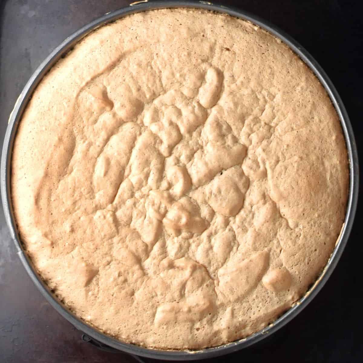 Baked sponge cake in round pan.