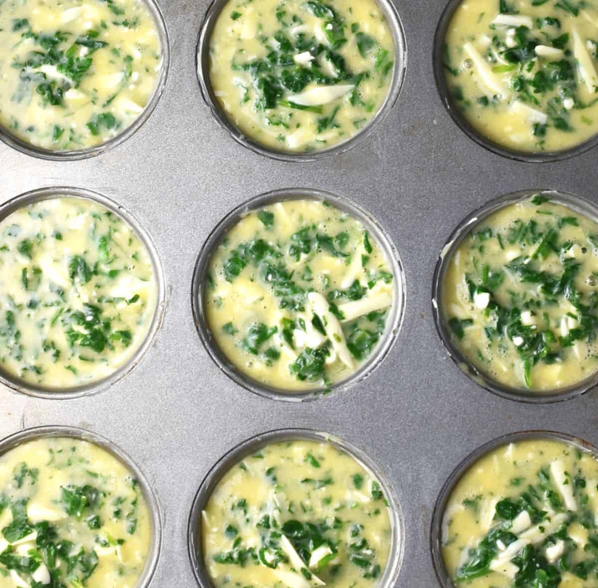 Top down view of spinach and egg muffin batter in muffin pan.