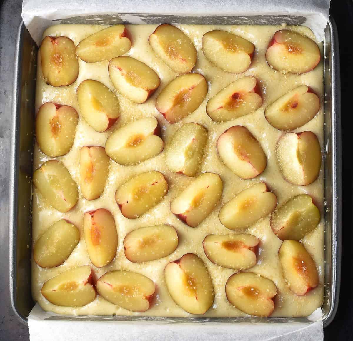 Fresh plums on top of cake batter in square pan.
