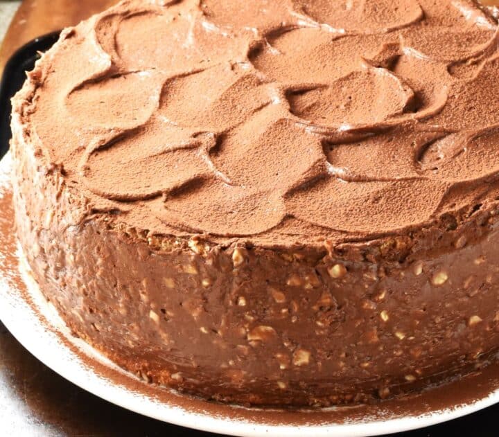 Side view of hazelnut and chocolate torte on plate.