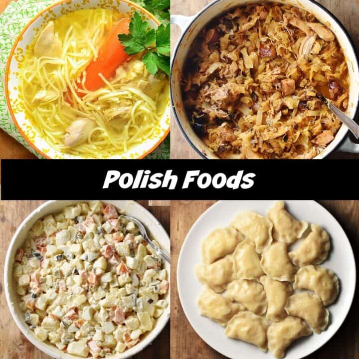 Top down view of Polish foods including soup, bigos, salad and pierogi.