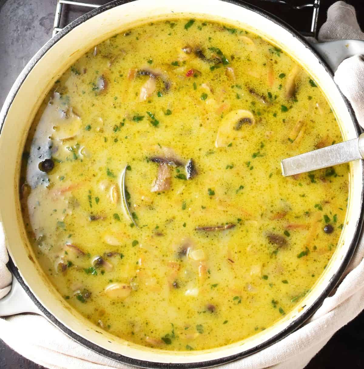 Polish button mushroom soup with cream in large white pot with ladle.