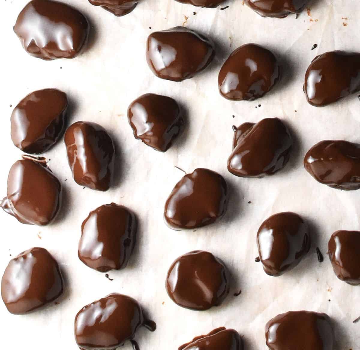 Glossy chocolate covered prunes on top of parchment paper.